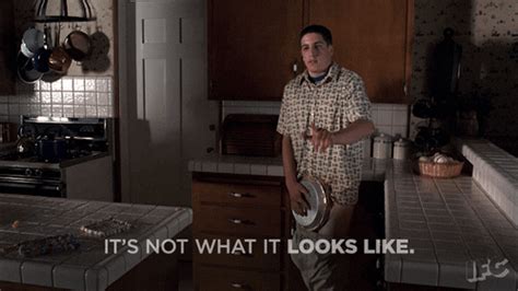 american pie gif|GIF american pie